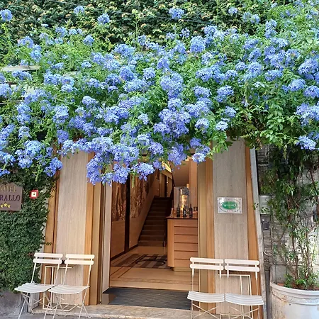 Hotel Corallo La Spezia